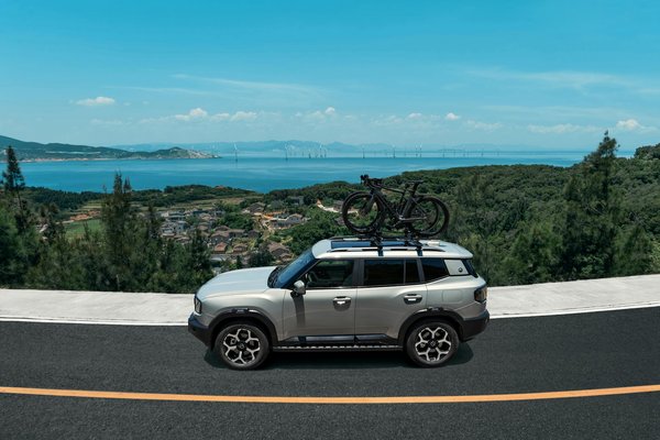 Top astuces pour acquérir une voiture aux antilles efficacement